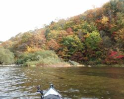 東端の川から流入場所