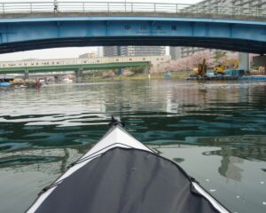 旧中川を漕を漕ぎだしてすぐ。