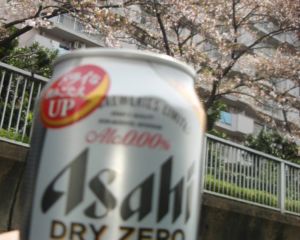 大横川の水上からの桜３