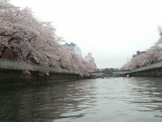 大横川