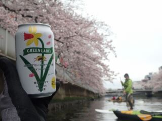 お昼のお供に