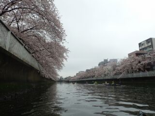 大横川２