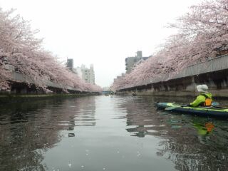 仙台堀川　木更木橋　近く