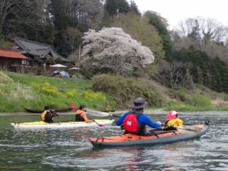 那珂川お花見カヤック2017/4－No4