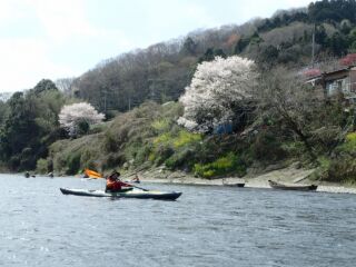 那珂川お花見カヤック2017/4－No8