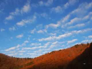 本栖湖畔　朝焼けの紅葉