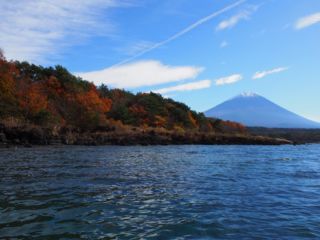 本栖湖　富士山　紅葉２