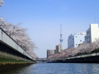 大横川 扇橋閘門の近く