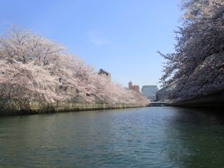 大横川　南側