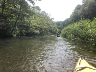 釧路川に入ってすぐ